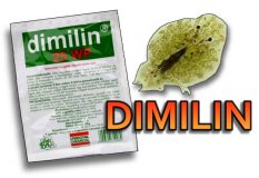 Dimilin for Koi and Pond fish parasites